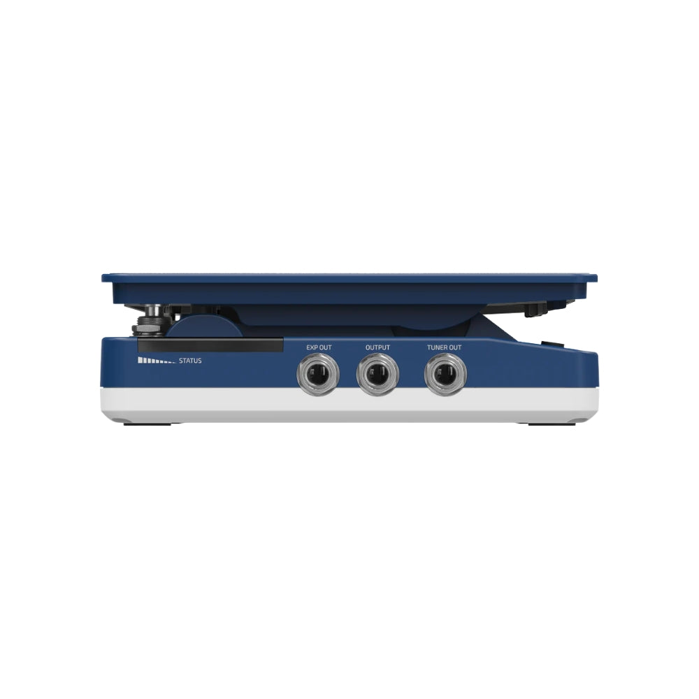 Wong Press SP-21
