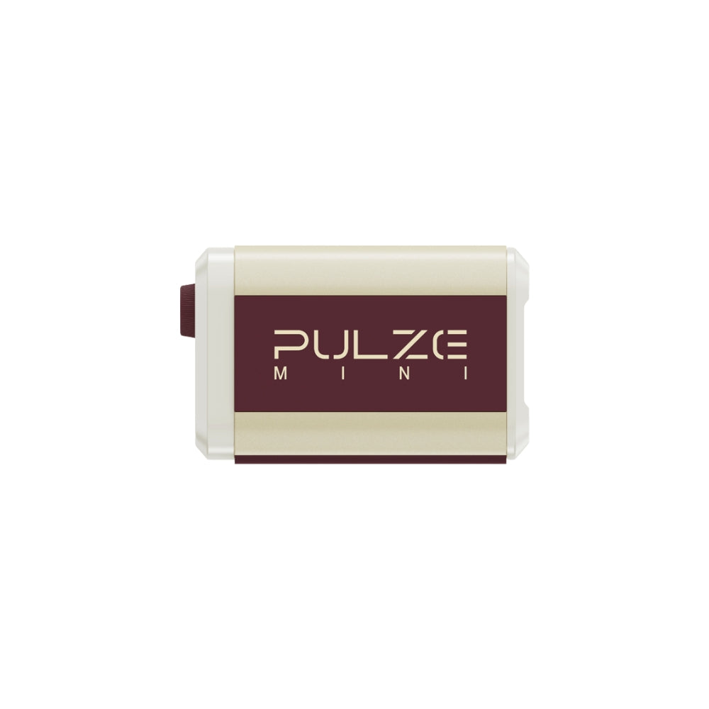 Pulze Mini AP-5WH